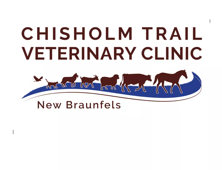 Chisholm Trail Veterinary Clinic of New Braunfels, Texas, New Braunfels
